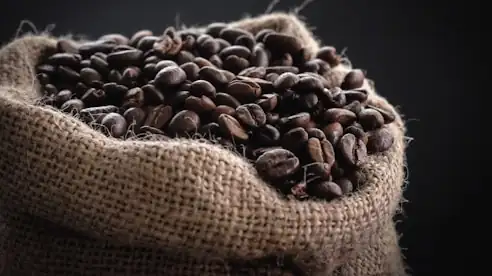 A hessian sack of green coffee, open at the top.